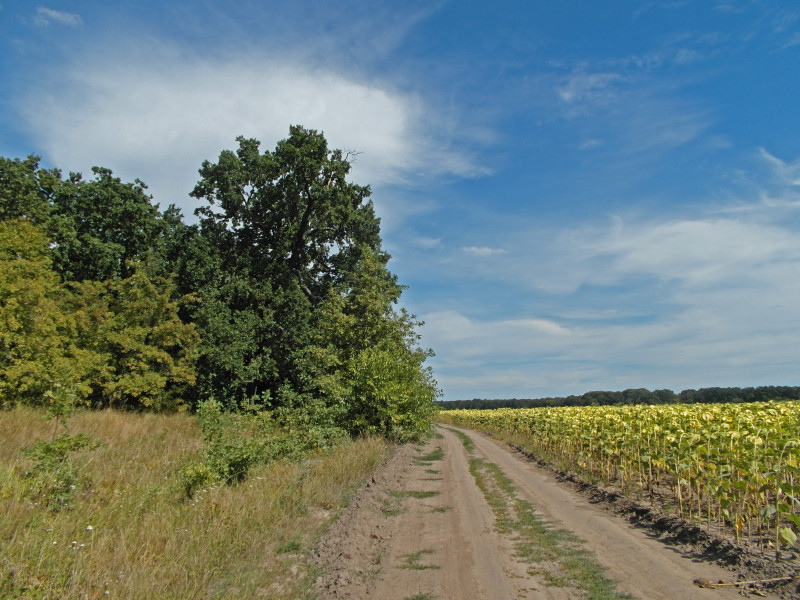 Наші фото - Великая Ольшанка