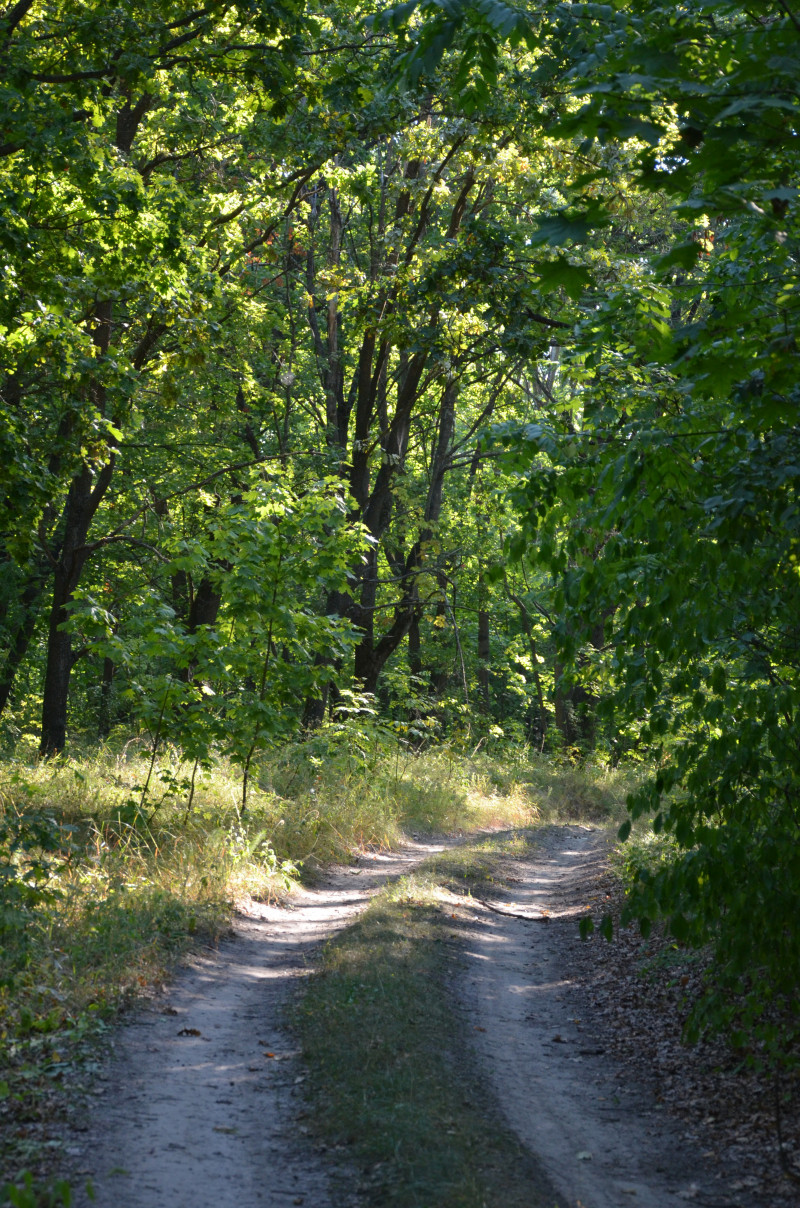 Наші фото - Великая Ольшанка