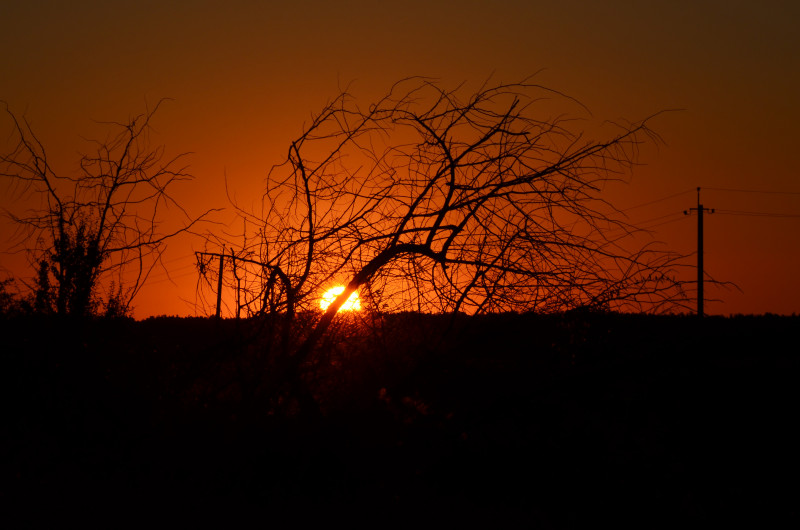 Наші фото - Великая Ольшанка