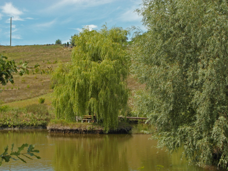 Наші фото - Великая Ольшанка