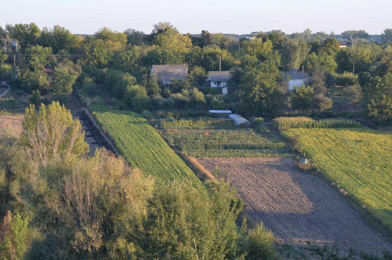 Наші фото - Тростинка