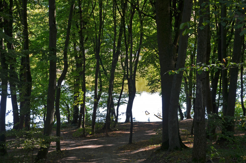 Наші фото - Великая Ольшанка