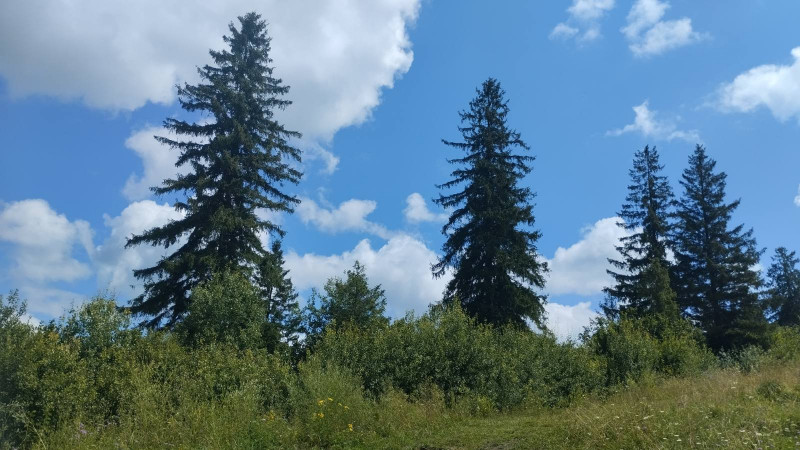 краєвиди Славська - Славское
