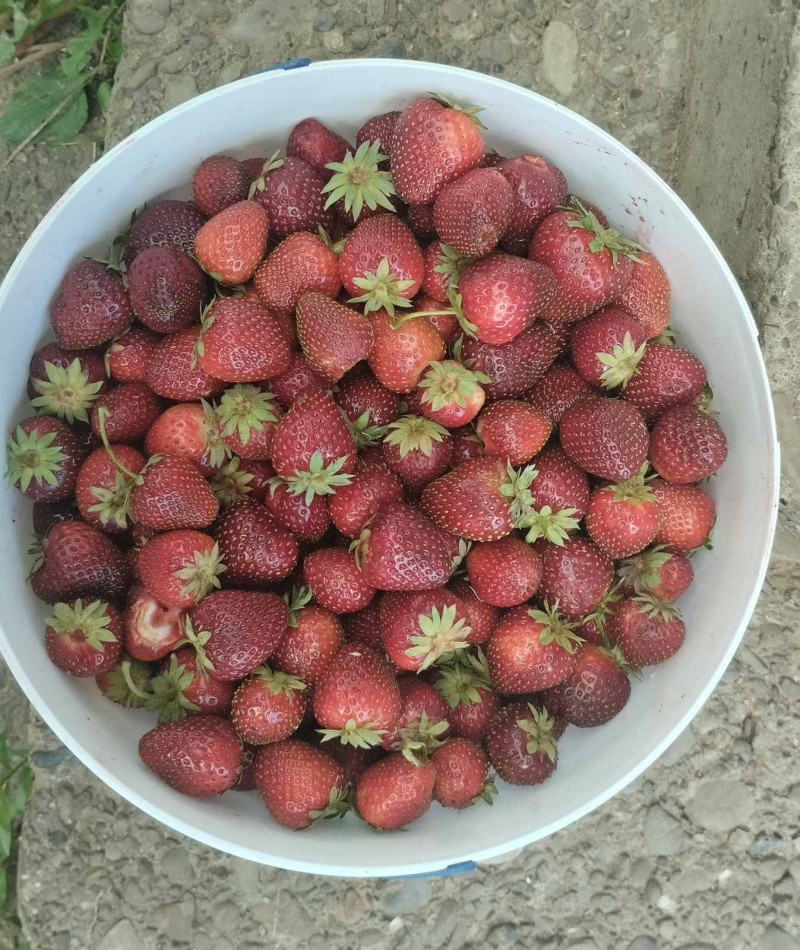 природні фантазії - Верхня Лукавиця