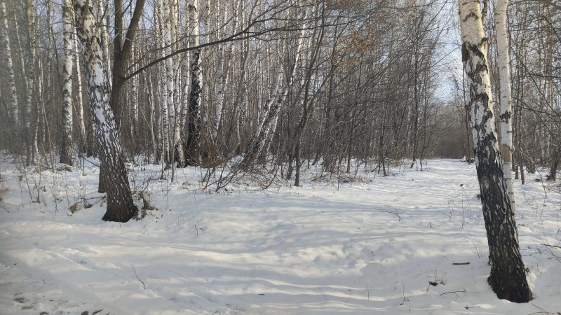 краєвид 3 - Горішнє