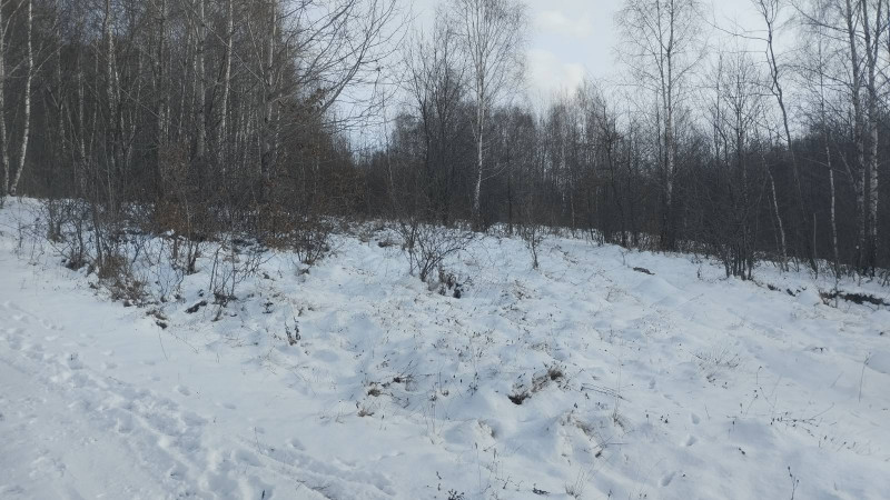 краєвид 3 - Горішнє