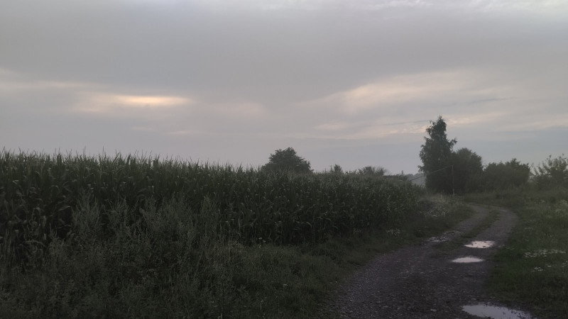 краєвид - Жулин