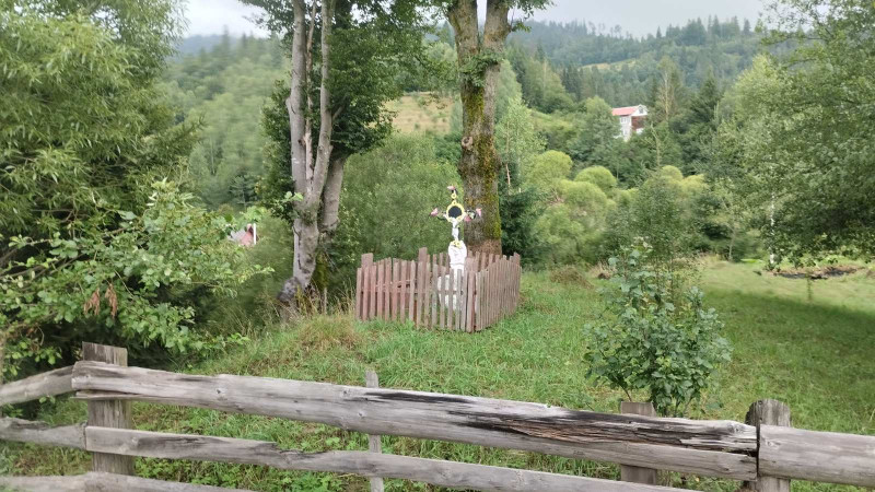 краєвиди Славська - Slavske