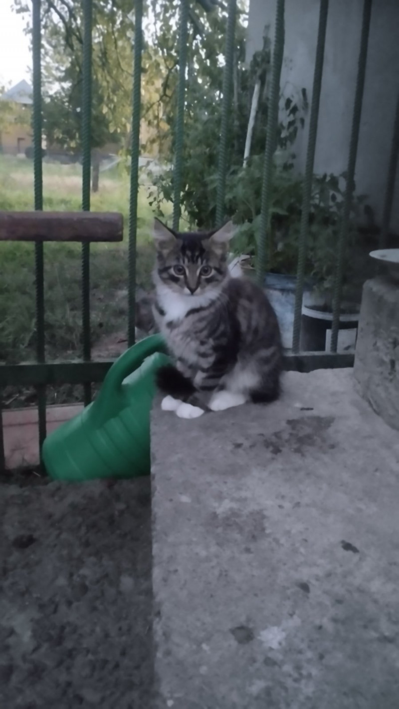 зоосвіт 1 - Верхня Лукавиця