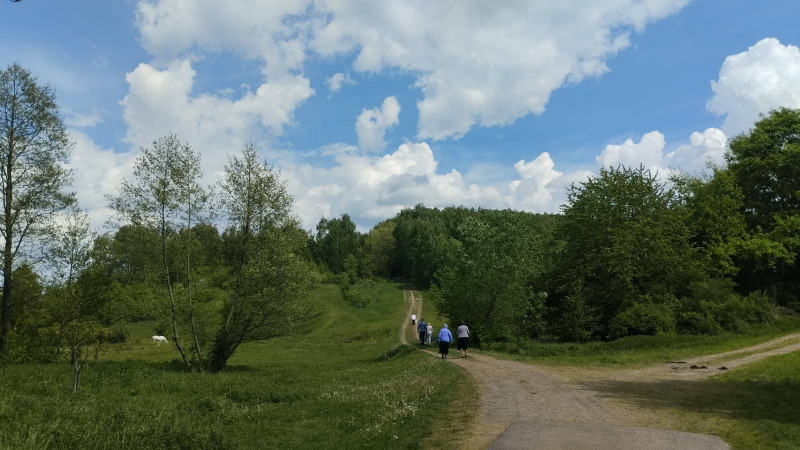 краєвид 3 - Горішнє